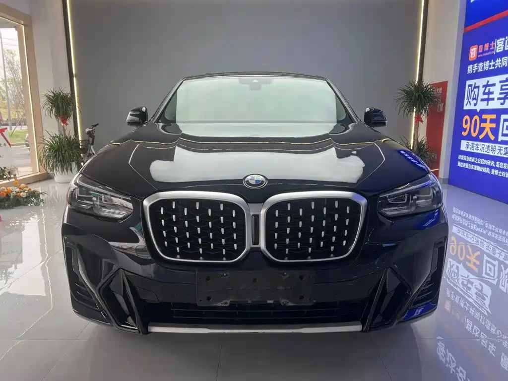 BMW X4 — миниатюра 9