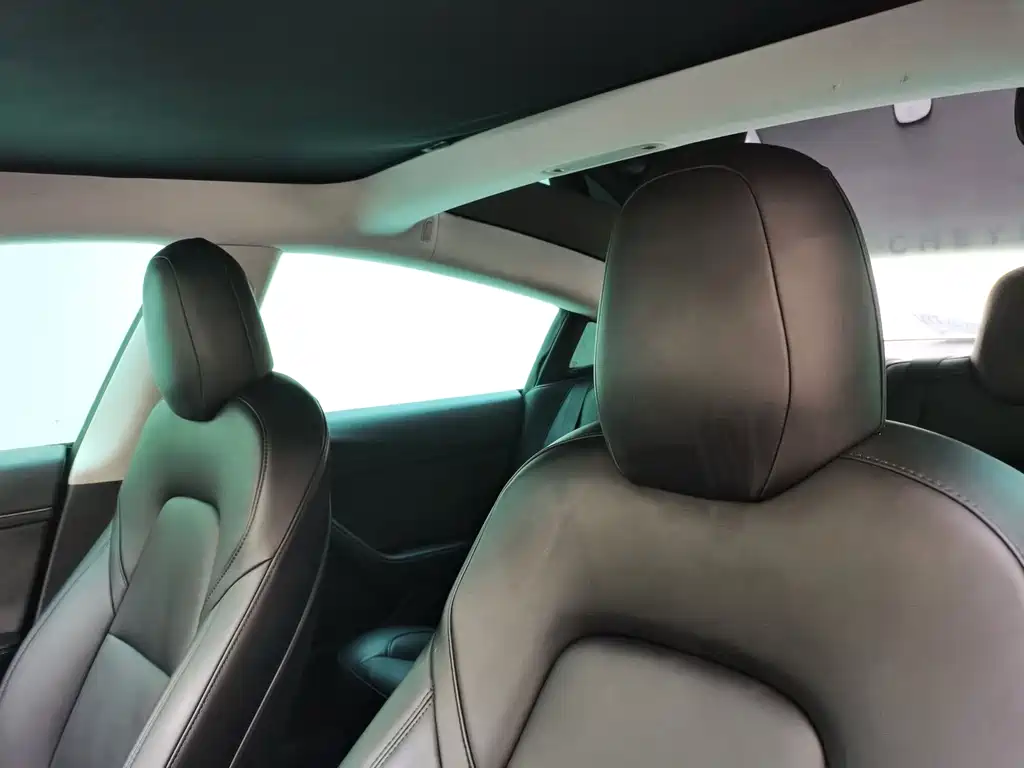 Tesla Model 3 — миниатюра 7