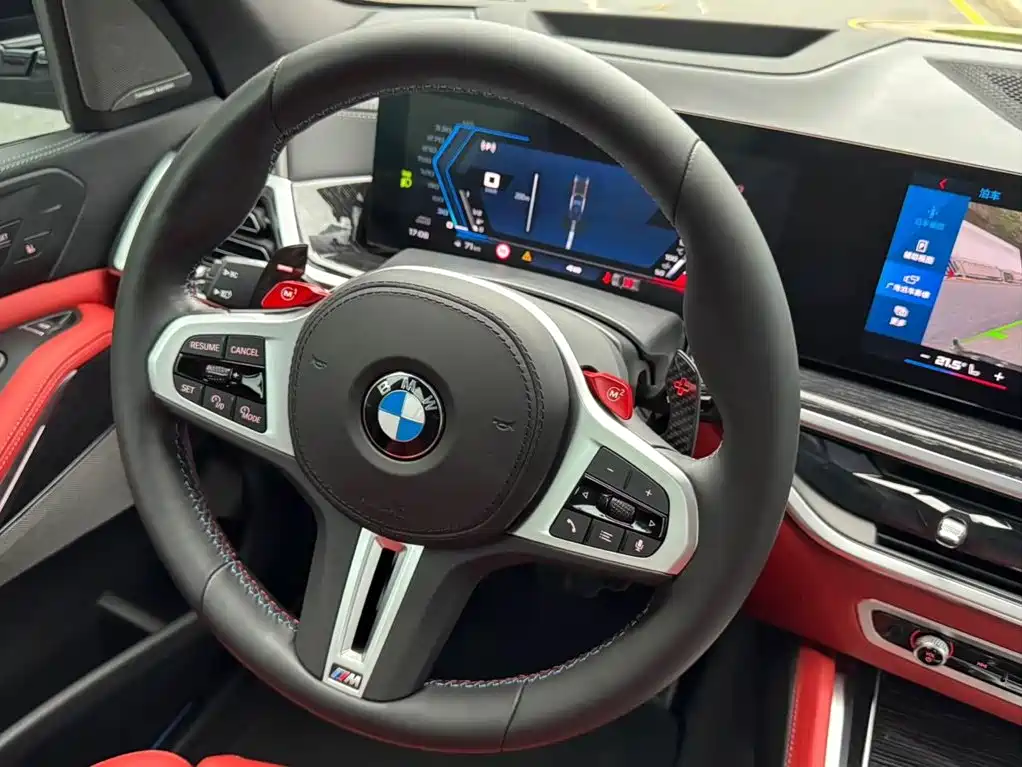 BMW X5 M — миниатюра 25