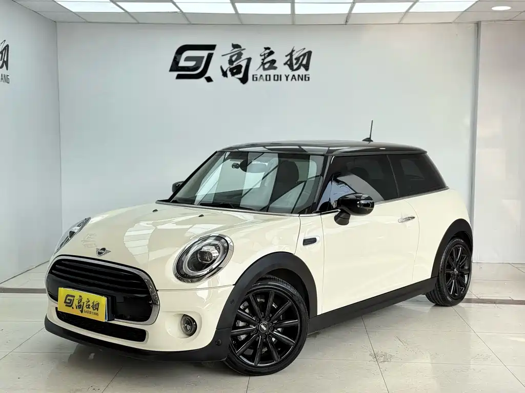 Mini Mini 2020
