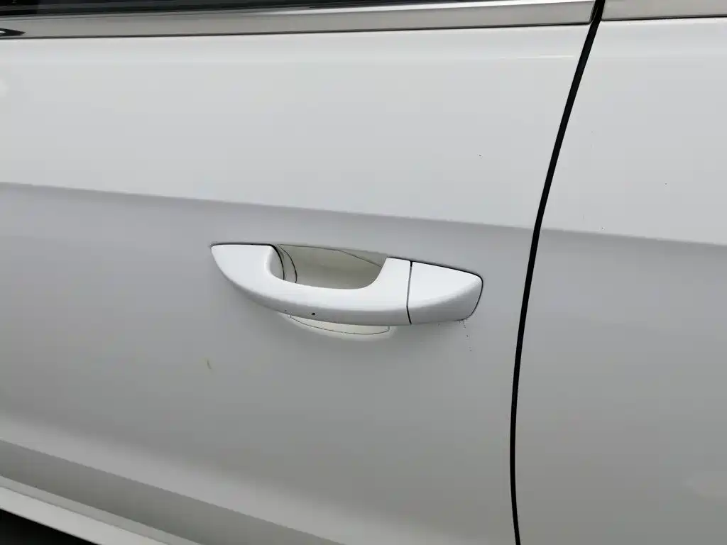 Volkswagen Gran Lavida — миниатюра 18