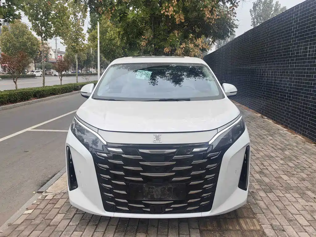 BYD Xia — миниатюра 3