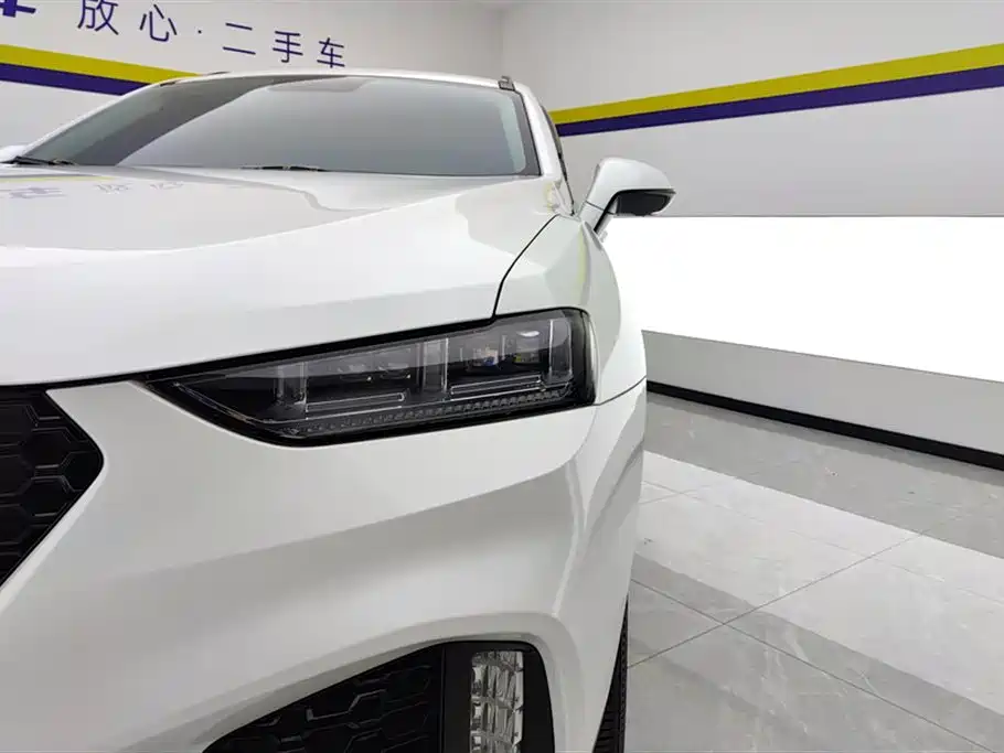 WEI PAI WEI BRAND VV7