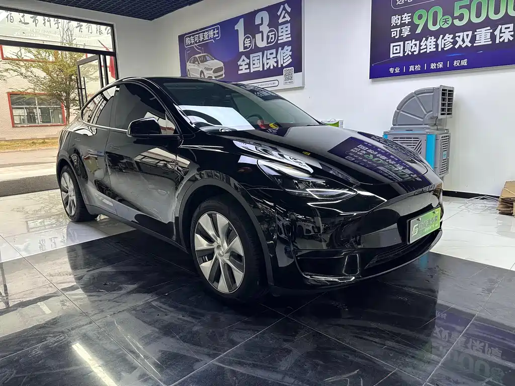 Tesla Model Y — миниатюра 3
