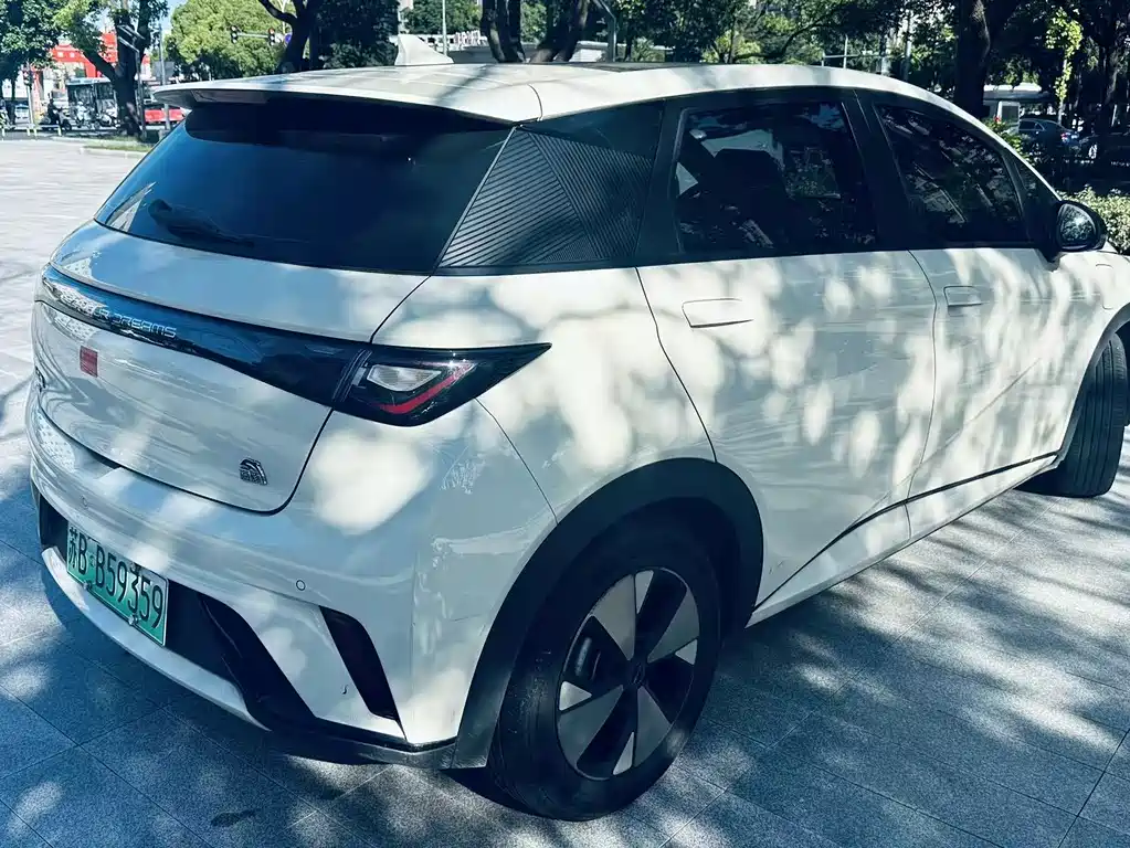 BYD Dolphin 2023 420km Fashion