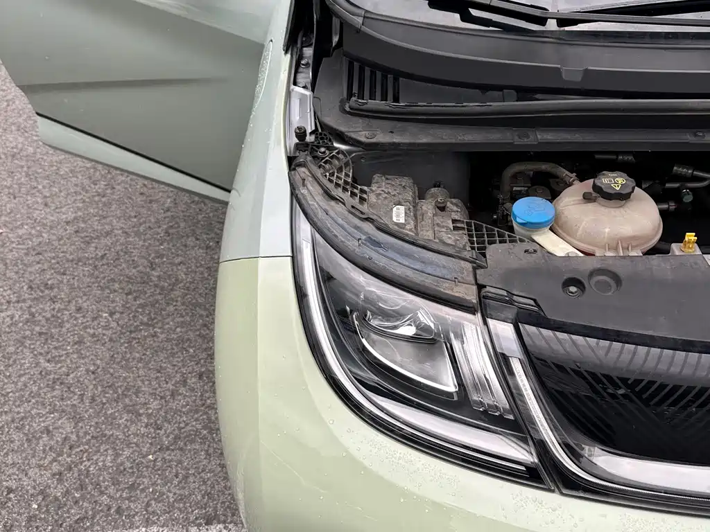 BYD Dolphin — миниатюра 18