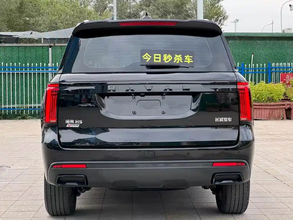 Haval H5 — миниатюра 8