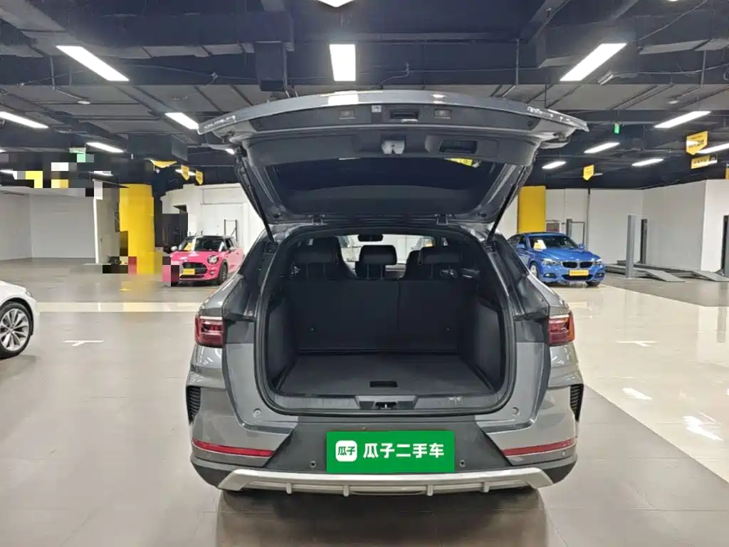 BYD PLUS — миниатюра 19