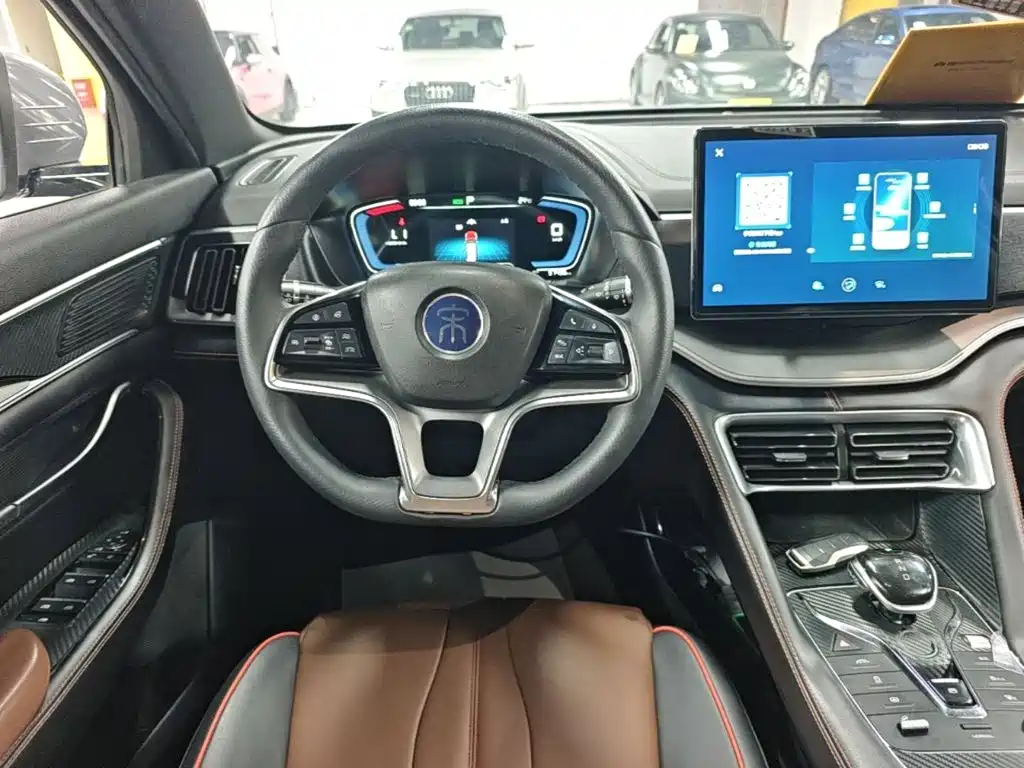 BYD PLUS — миниатюра 11