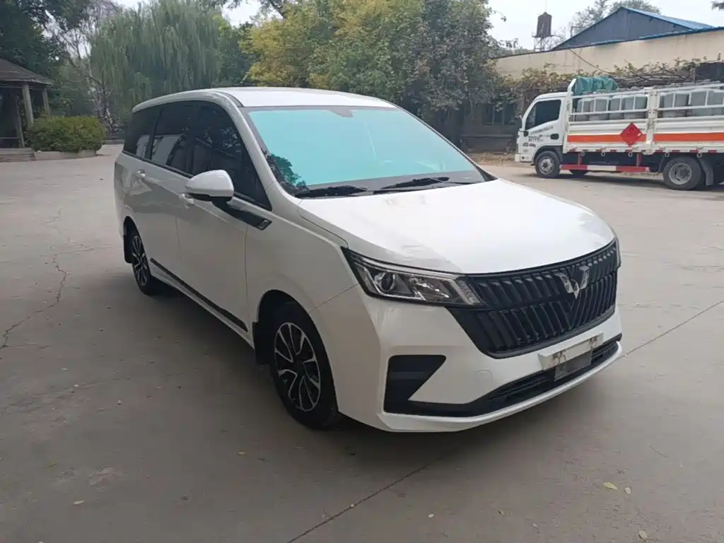 Wuling Jiachen — миниатюра 4