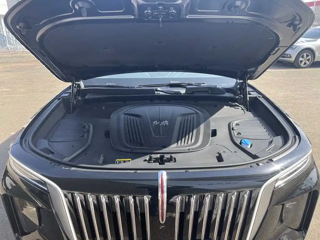 Hongqi HONGQI E HS9