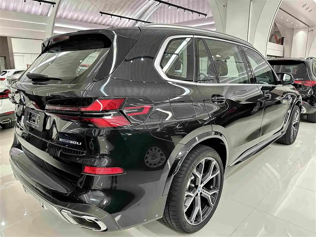 BMW X5 — миниатюра 19