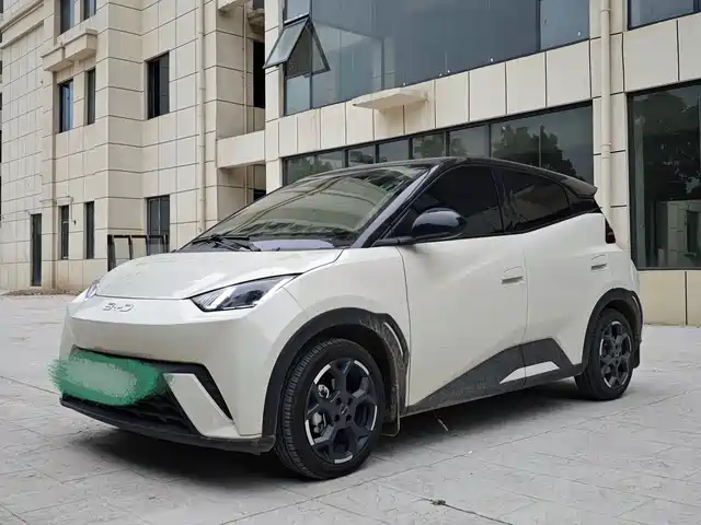 2025 BYD Seagull