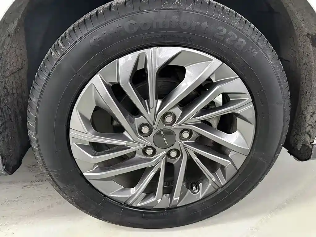 SAIC MAXUS CHASE G50