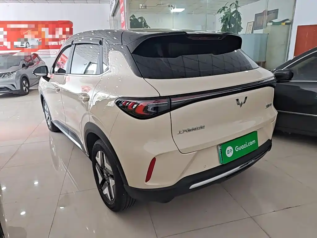 Wuling BinguoS S 2025 325km Flagship