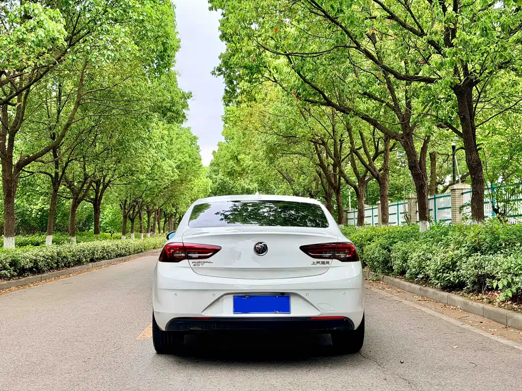 Buick Regal 2019 20T Elite VI