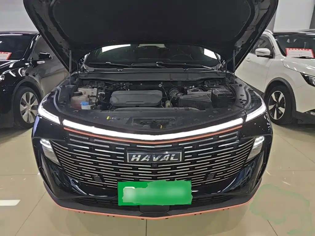Haval Shenshou — миниатюра 20