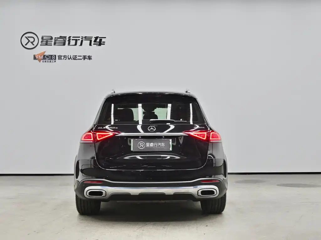 Mercedes-Benz GLE New Energy — миниатюра 5