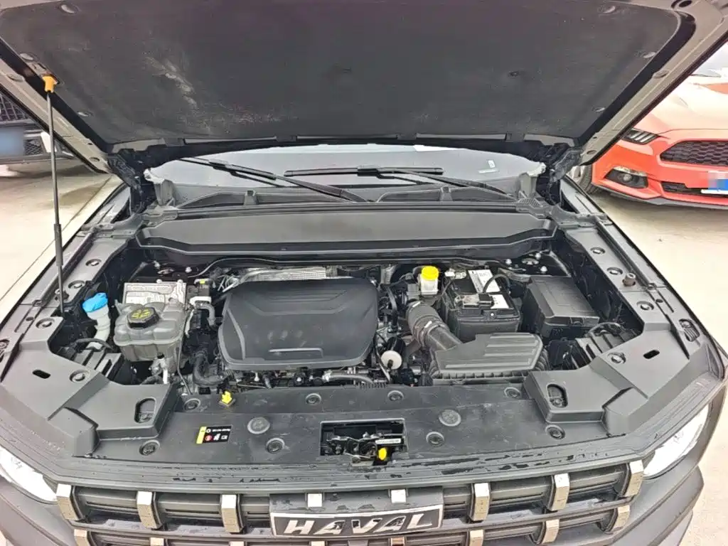 Haval Cool Dog — миниатюра 20