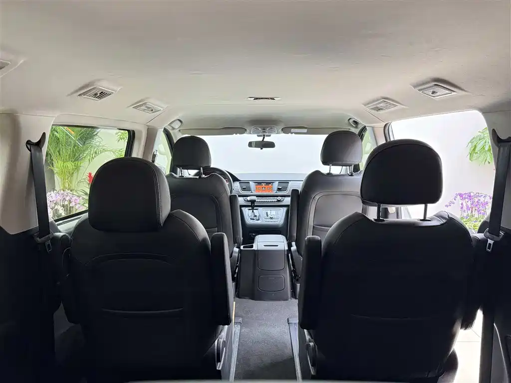 SAIC MAXUS CHASE G10