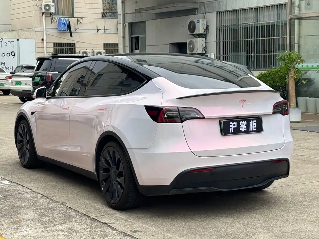 Tesla Model Y 2021 Performance