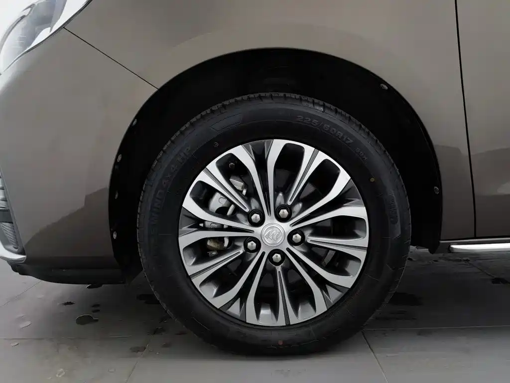 Buick GL8 — миниатюра 17