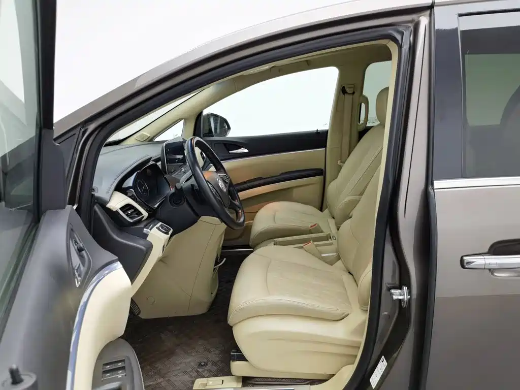 Buick GL8 — миниатюра 10