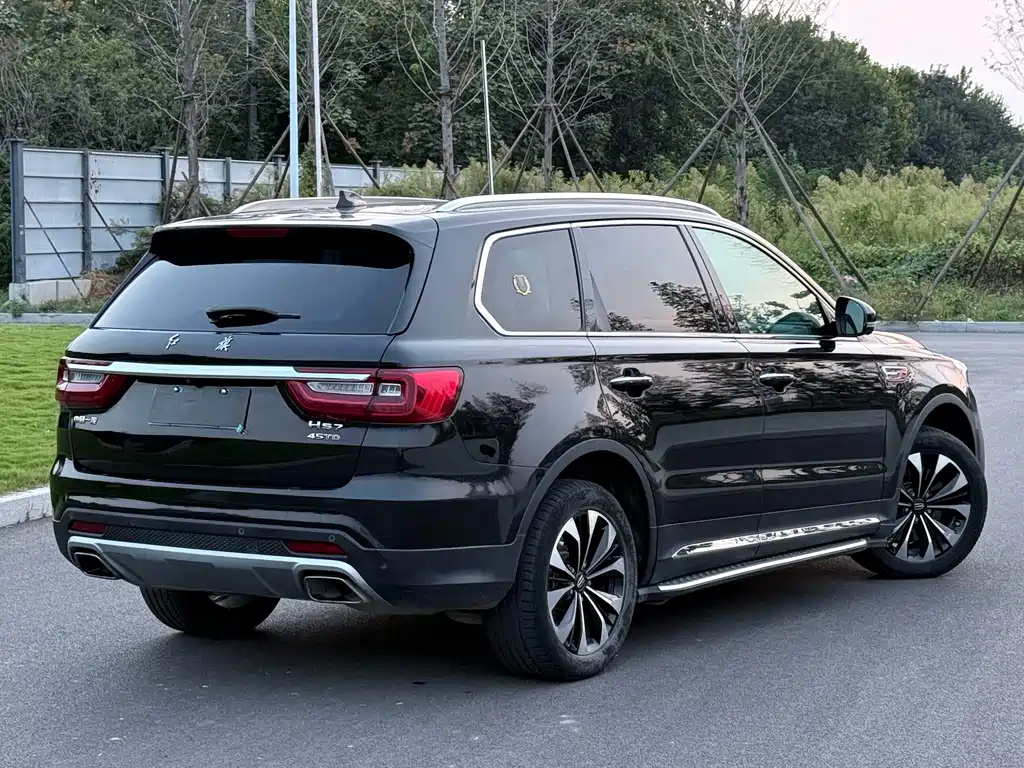 Hongqi Hongqi HS7 — миниатюра 3