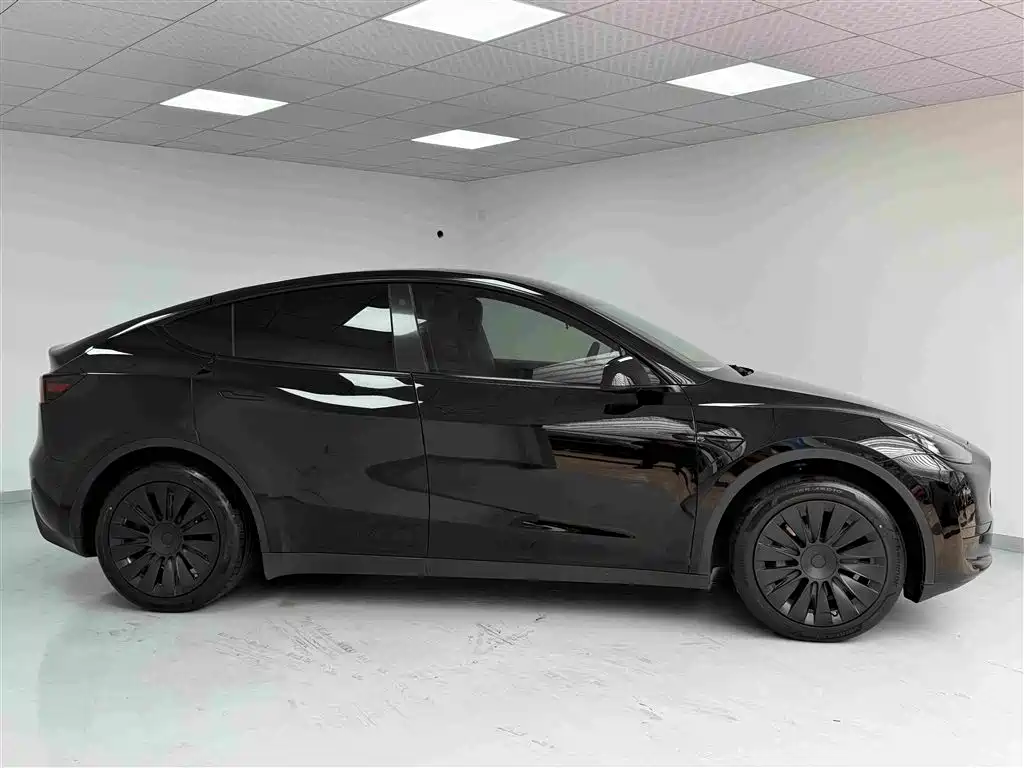 Tesla Model Y — миниатюра 3
