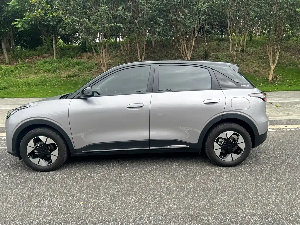 Geely Geome Xingyuan 2025 310km