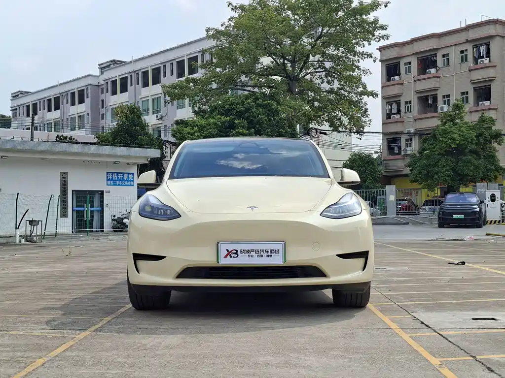 Tesla Model Y — миниатюра 10