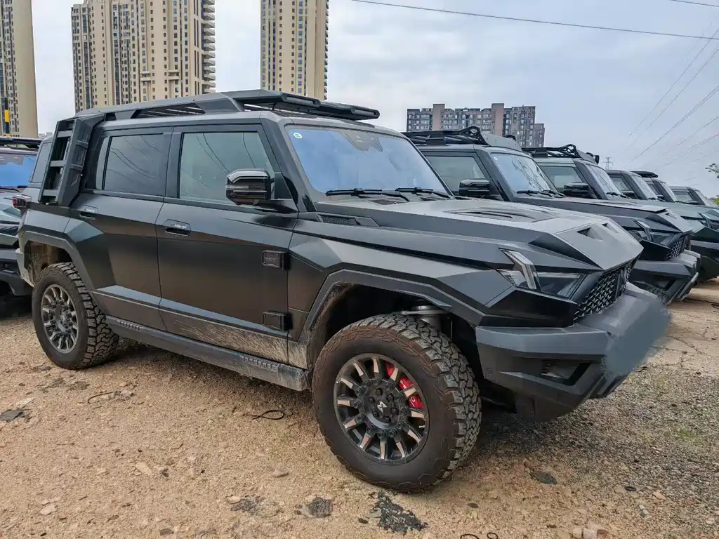 Mengshi Mengshi 917 — миниатюра 2
