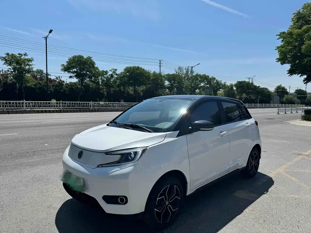Dongfeng EV YOUNG Guang Xiaoxin 2022