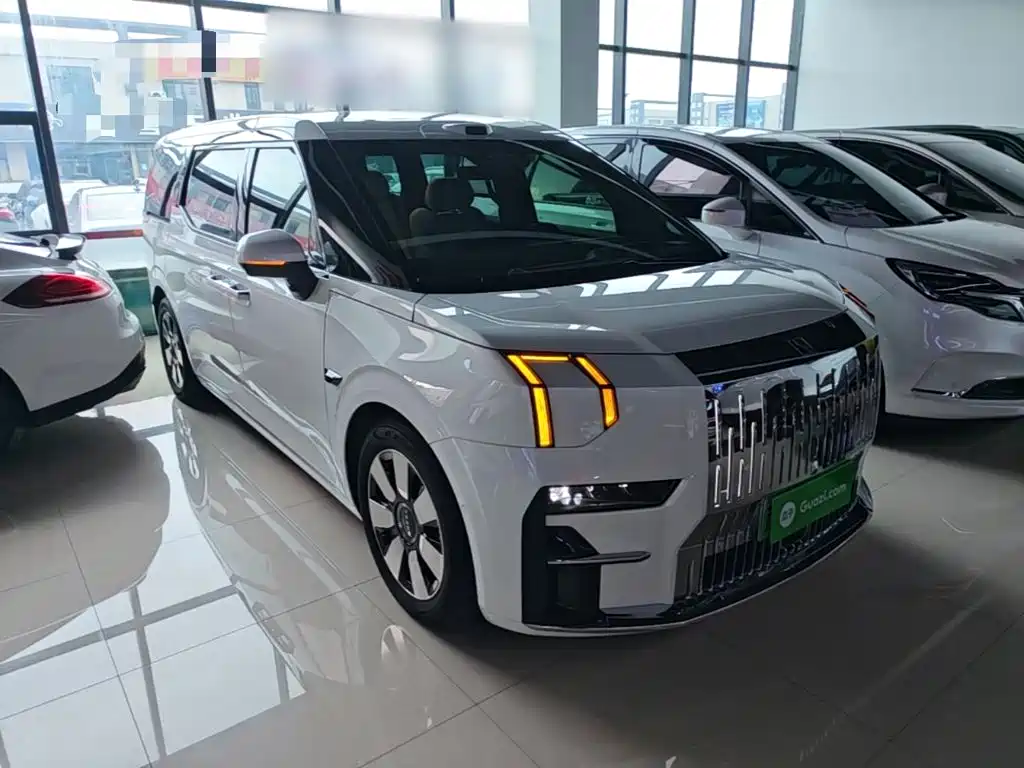 Zeekr 009 2024 мест Executive 108kWh
