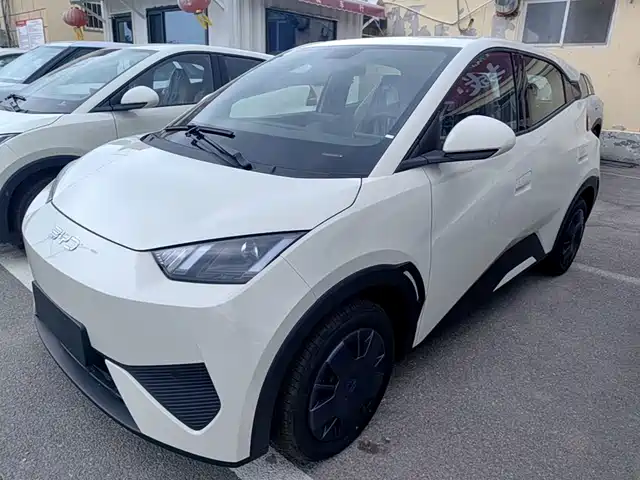 2026 BYD Seagull