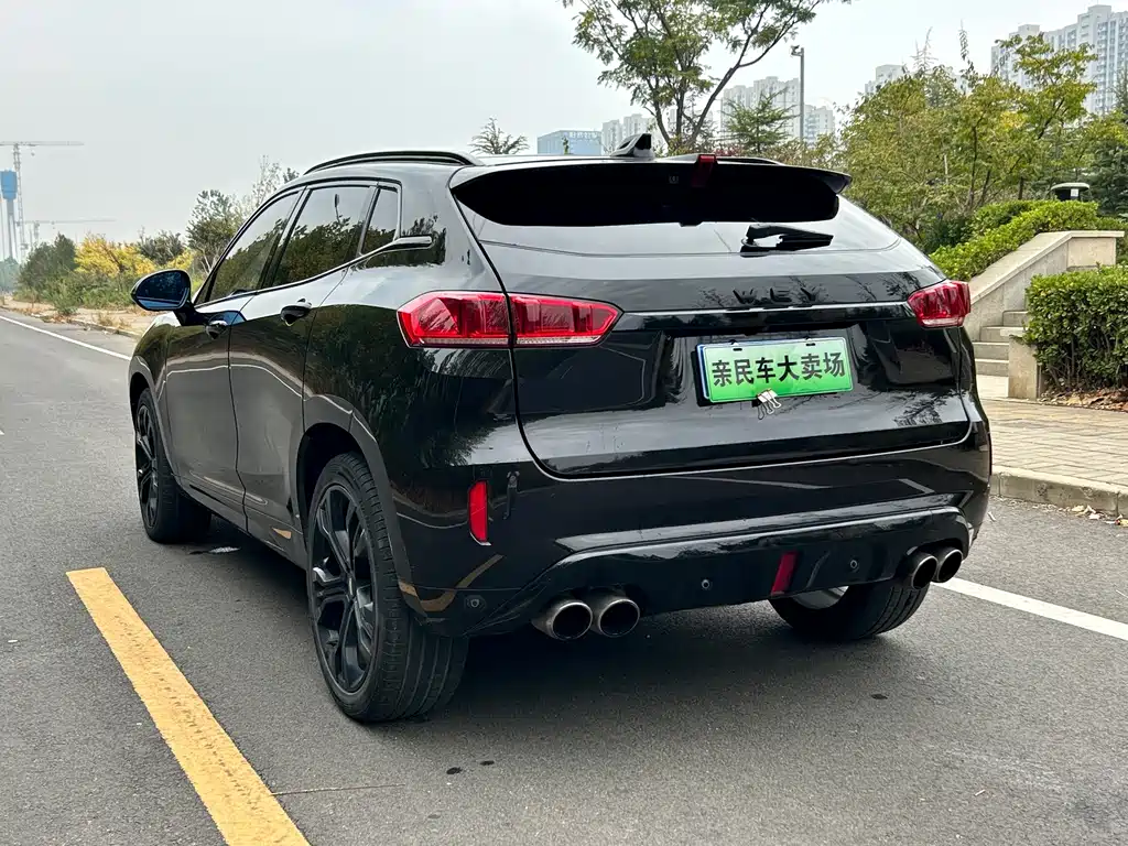 Wey Wey VV7 — миниатюра 3