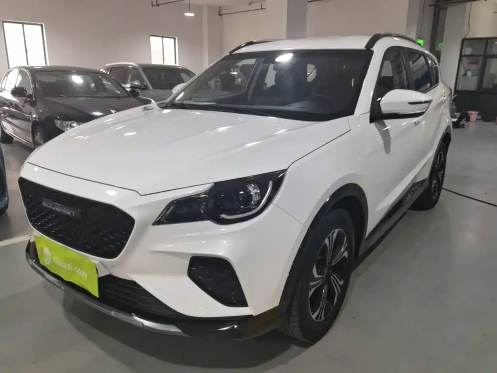 Soueast DX8S — миниатюра 2