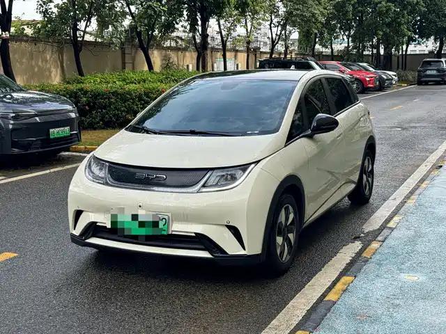 2024 BYD Dolphin