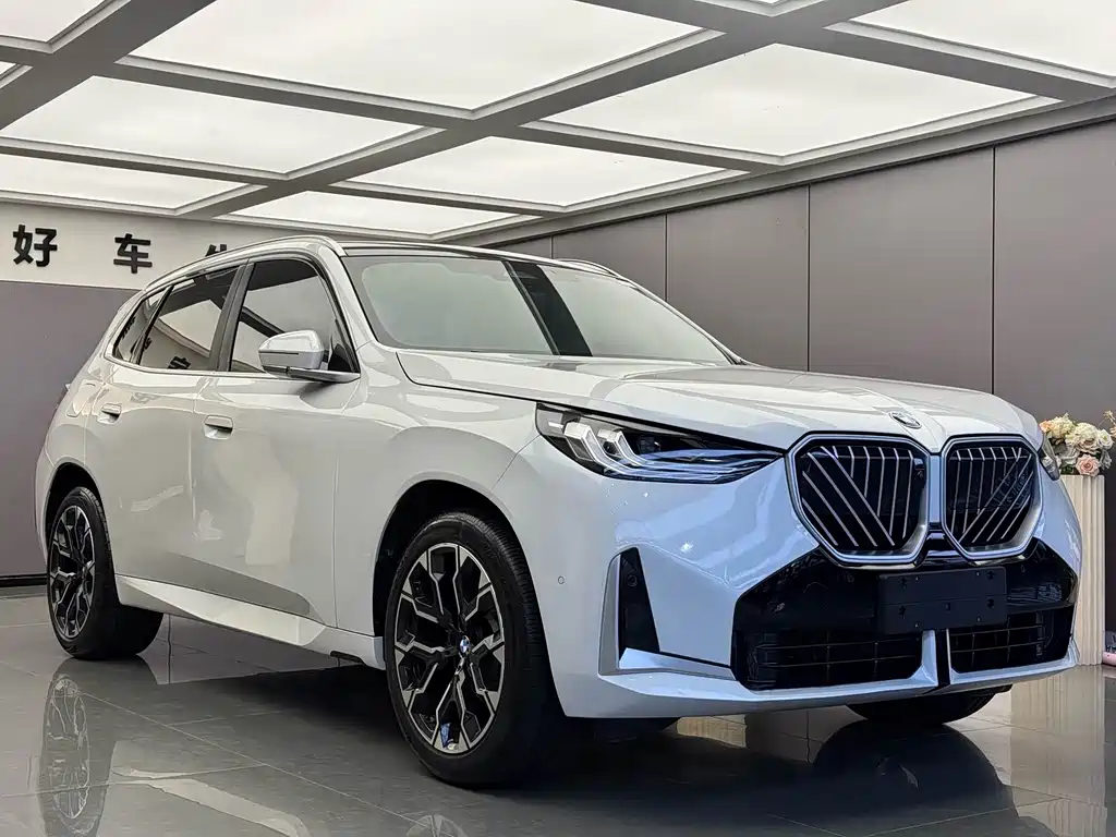 BMW X3 — миниатюра 3