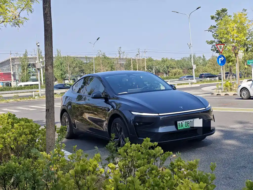 Tesla Model Y — фотографии объявления, Фото 7