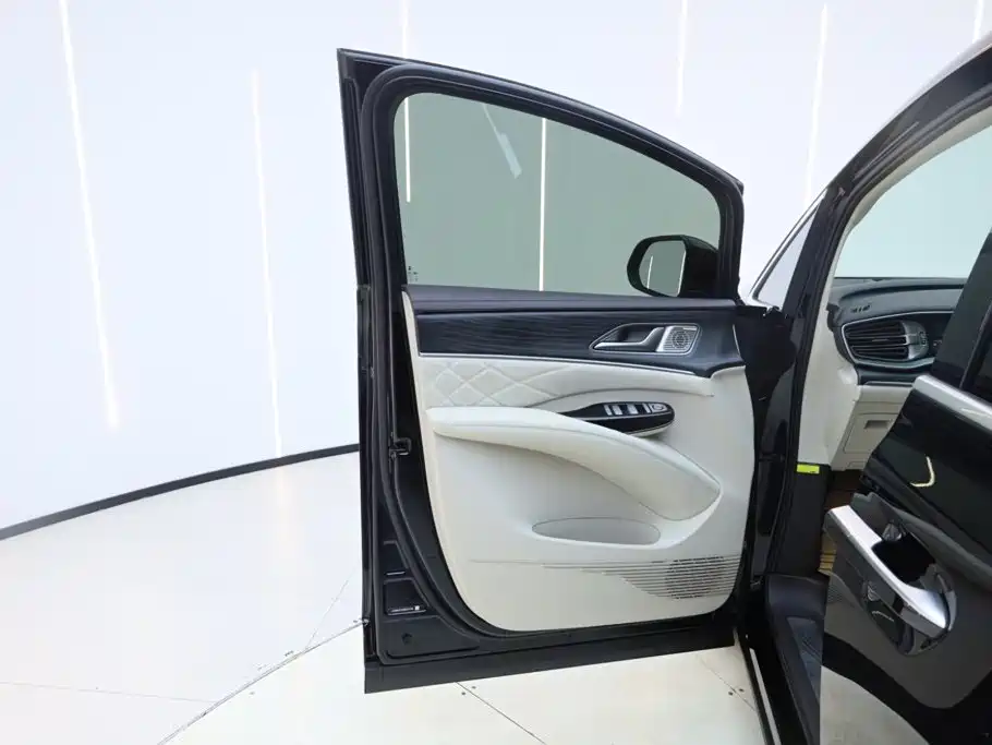 Denza Denza D9 — миниатюра 18
