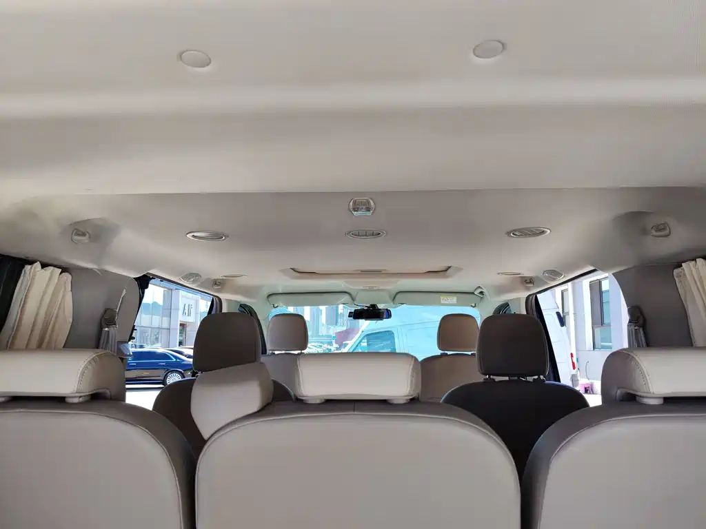 Ford Tourneo 2020 2.0T AT VI