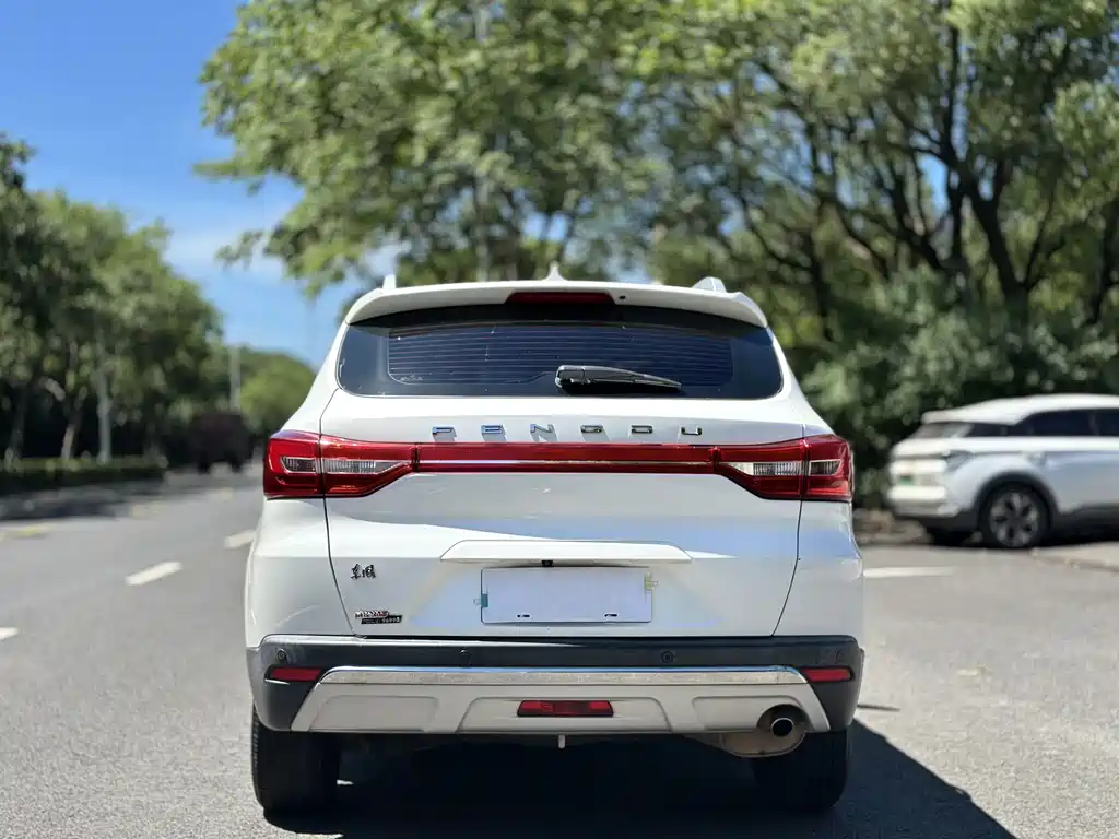 DONGFENG DONGFENG DEMEANOR MX5