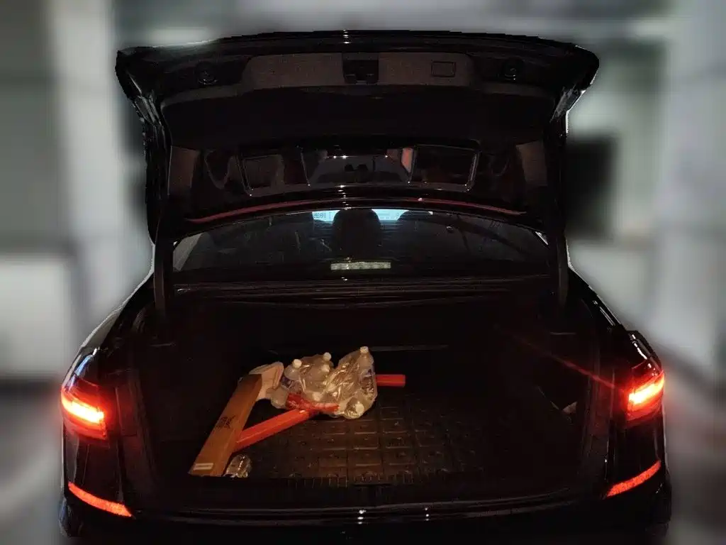 Volkswagen Passat — миниатюра 10