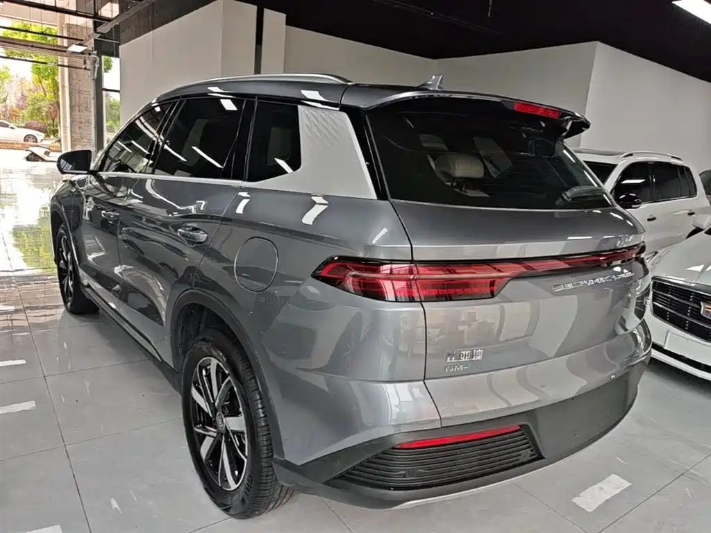 BYD Pro New Energy - фото 23