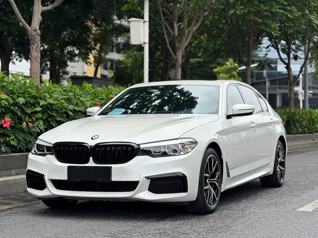 BMW 5 Series 2019