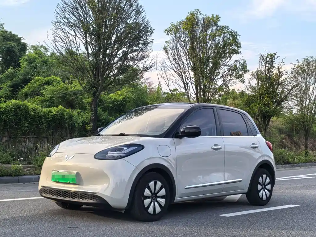 Wuling Bingo 2024