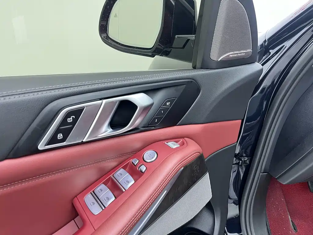 BMW X5 — миниатюра 19