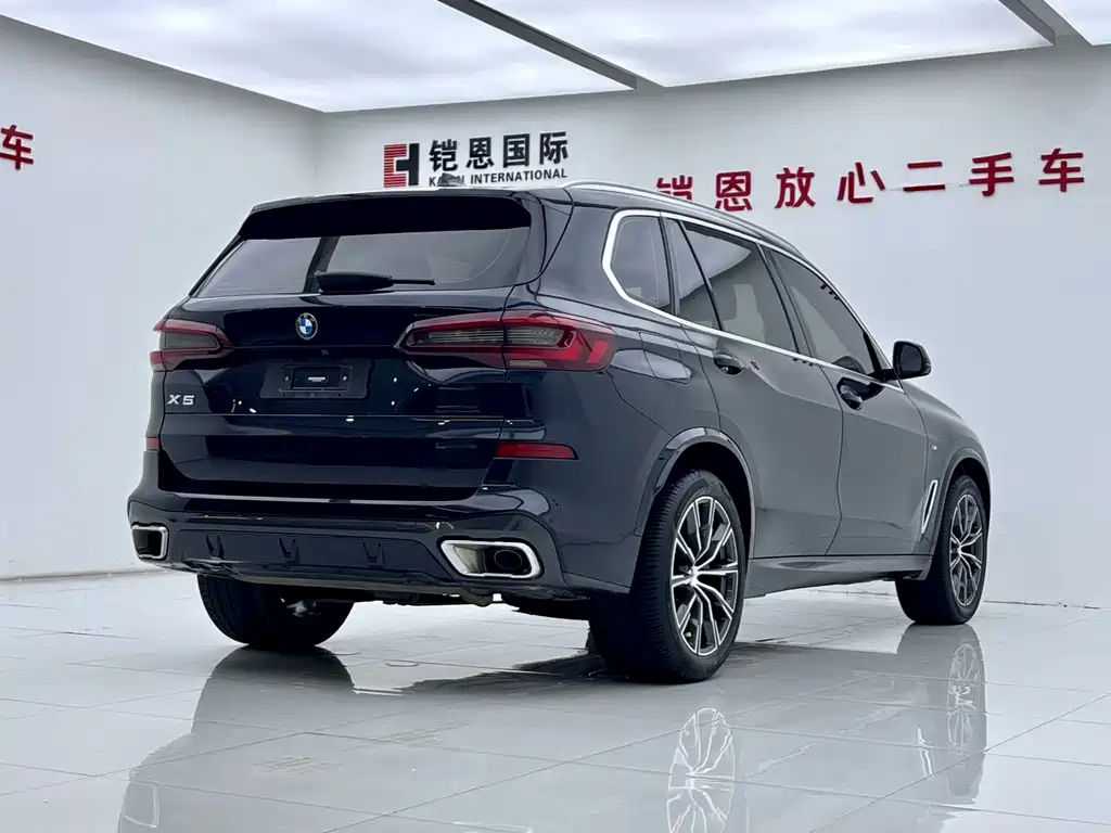 BMW X5 — миниатюра 25