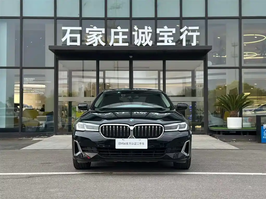 BMW 5 Series 5 2021 530Li Premium Luxury